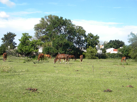 Buenos Aires258