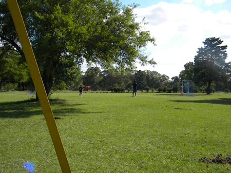 Buenos Aires266