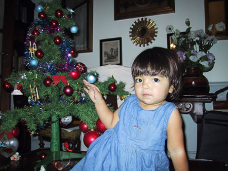 sofitree01