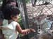 sofizoo03